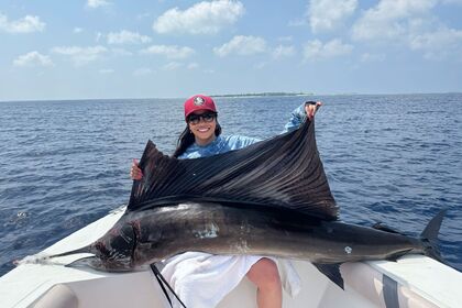 Miete Motorboot Black pearl Pearl 24 Baa