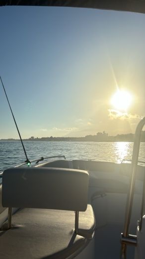 Puerto Banús, Marbella Without license Nireus Óptima 490 alt tag text