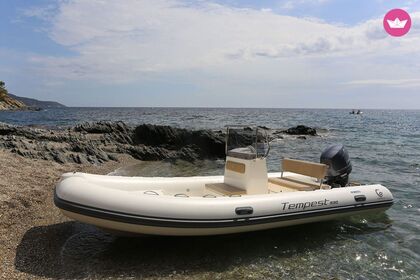 Charter Boat without licence  Capelli Capelli Tempest 530 Alghero