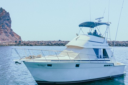 Rental Motorboat Custom 42 Mazatlán