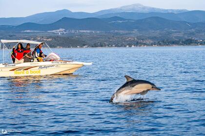Noleggio Barca senza patente  Volos Marine Skiathos 164 Pteleos