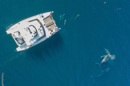 Aluguel Catamarã Beneteau Patrol 690 Ilhabela