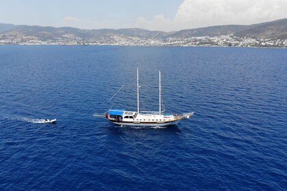 Location Goélette AREBD-671 24 MT 5 CABINS GULET 1996 Bodrum