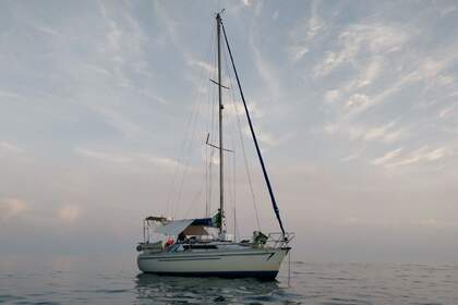 Charter Sailboat JEANNEAU SUN LIGHT 30 La Grande-Motte