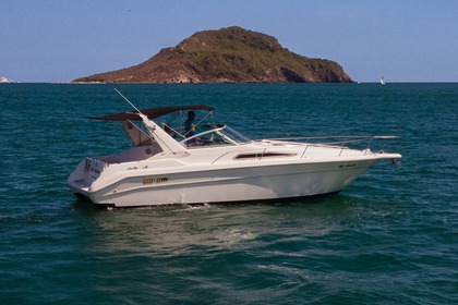 Rental Motorboat Sea Ray 320 Sundancer Mazatlán