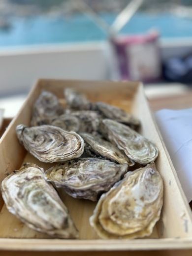 Monopoli Motorboat blu&blu blu&blu 700 alt tag text