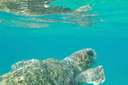 Hyra båt Båt utan licens  Poseidon Blue Water 185 Zakynthos