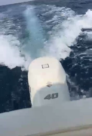 Porto Cesareo Without license Mingolla Brava 18 alt tag text