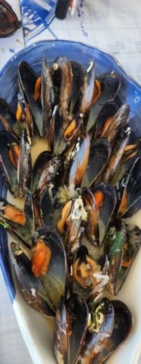 Aten Sailboat BAVARIA 49 alt tag text