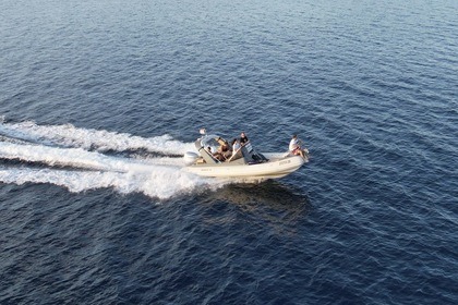 Charter RIB Shark 23 23 Zadar