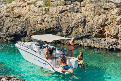 Aluguel Lancha Ribitaly BMA X199 Port d'Addaia