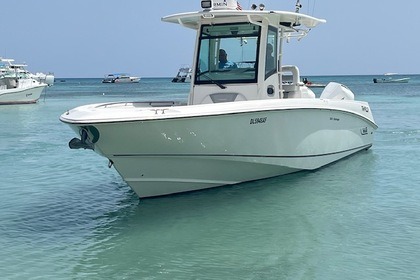 Verhuur Motorboot Boston Whaler OUTRAGER 32 Bayahíbe