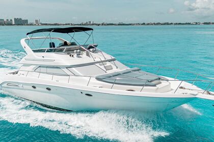 Verhuur Motorboot Sea Ray Flybridge Cancún