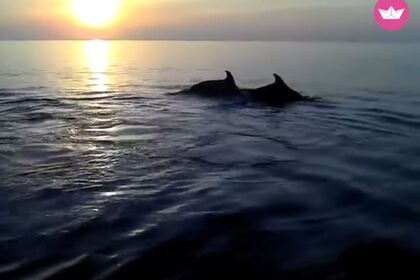 Location Bateau sans permis  ROTO D.O.O ROTO 450 S FAMILY Galéria