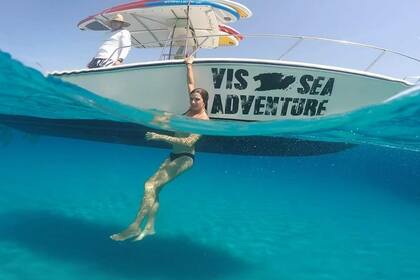 Hire Motorboat Rover Rover 26 Vis