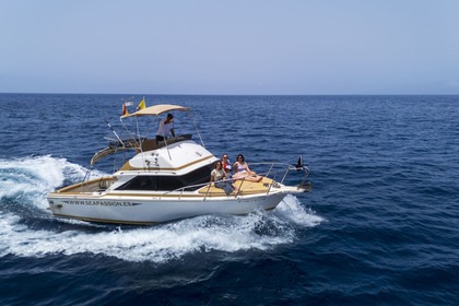 Miete Motorboot Etap Bertram 28 Flybridge Playa San Juan