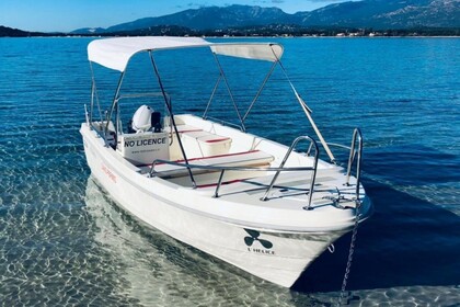 Charter Boat without licence  Selva Tiller 480 Mandelieu-La Napoule