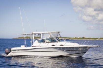 Charter Motorboat Stamas 30 La Romana