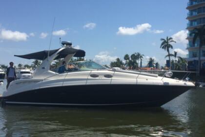 Rental Motorboat Sea Ray 340 Puerto Vallarta