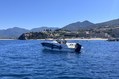 Miete Motorboot Quicksilver Activ 755 Sundeck Propriano
