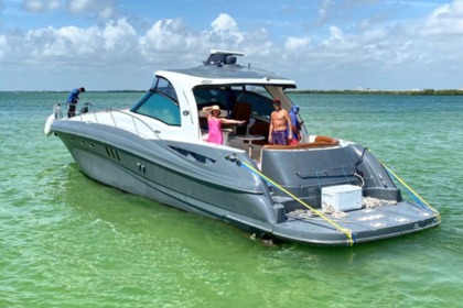 Miete Motorboot Sea Ray SUNDANCER Cancún