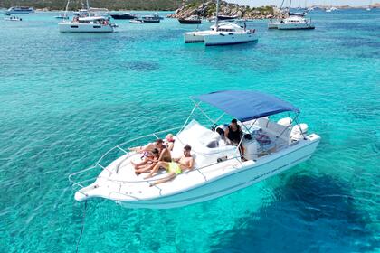 Charter Motorboat white shark 268 Cc Palau