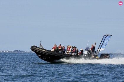 Hire RIB Humber Humber Offshore La Trinité-sur-Mer