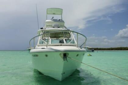 Charter Motorboat EVERGLADES 35 La Romana