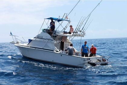Alquiler Lancha Bertram 28 Santa Cruz de Tenerife
