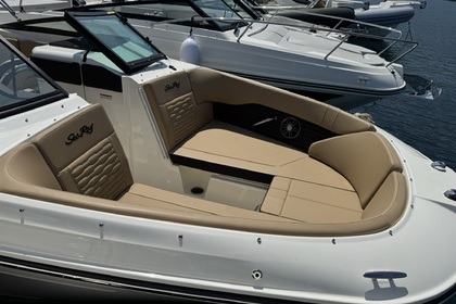 Aluguel Lancha Sea Ray 230 Spx Cavalaire-sur-Mer