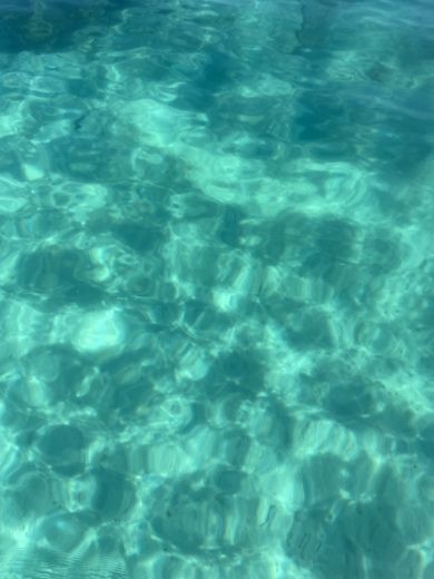 Porticcio Motorboat Sunbird Spl 150 alt tag text