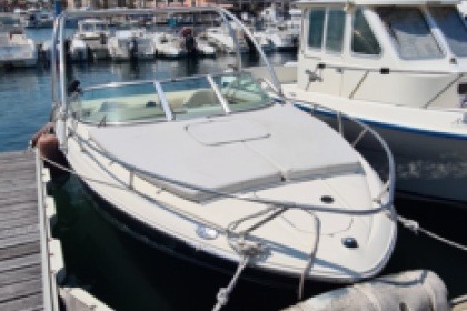 Location Bateau à moteur Sea Ray SUN Argelès-sur-Mer