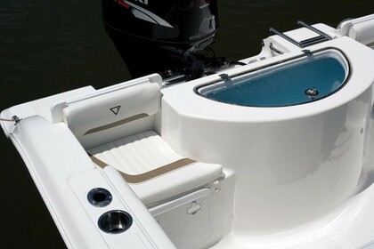 Rental Motorboat Sea fox 216 cc Île d'Yeu