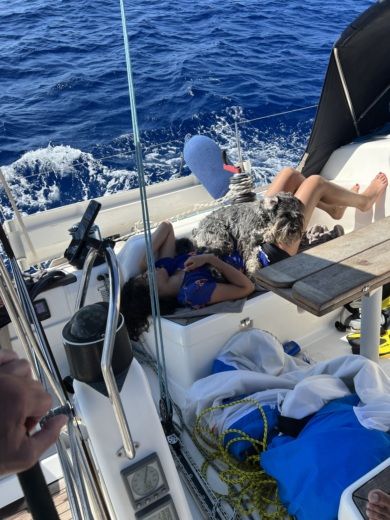 Alcúdia Sailboat Dufour Dufour 44 Performance alt tag text