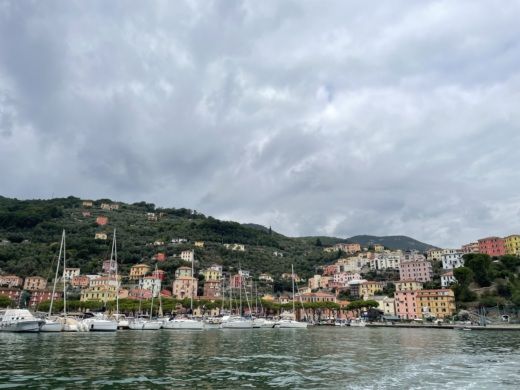 La Spezia Without license Selva Marine D540 alt tag text