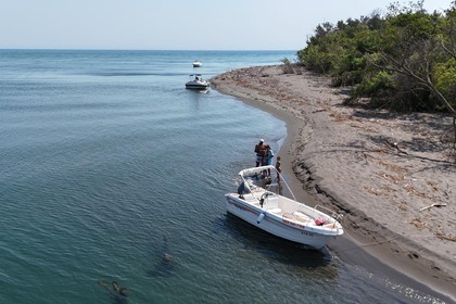 Noleggio Barca a motore Yamaha Safter 500 Dulcigno