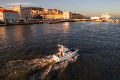 Hire Motorboat Rodman 800 Lisbon