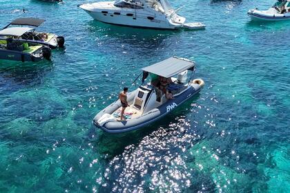 Charter RIB Bwa BWA 24 GTO SPORT Olbia