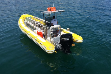 Hire RIB Vanguard TX860 Sesimbra