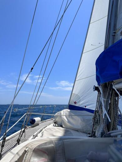 Cannes Sailboat GUY COUACH V12 alt tag text