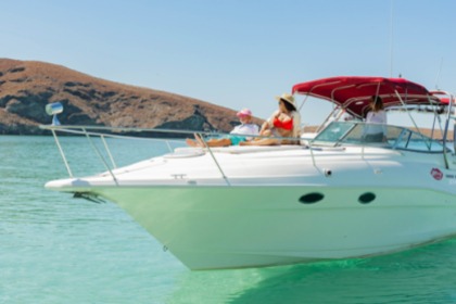 Rental Motorboat Cruisers Rogue 3175 La Paz