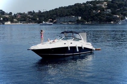 Charter Motorboat Sea Ray 375 Sundancer Nice