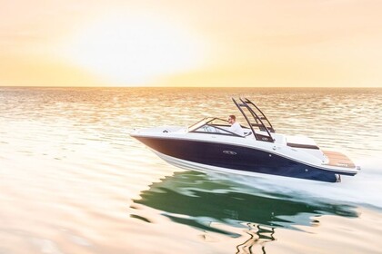 Verhuur Motorboot Sea Ray 190 Spx Gaienhofen