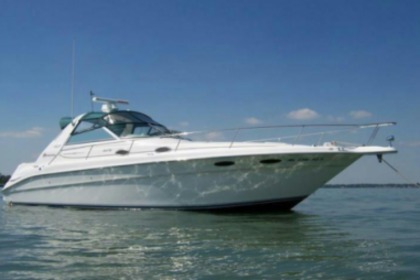 Charter Motorboat Sea Ray Sundancer 330 Marbella