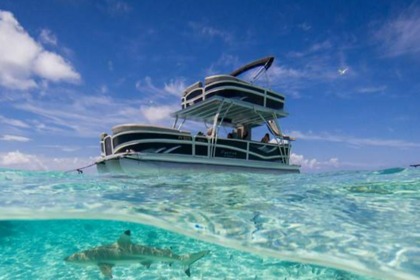 Noleggio Barca a motore Premier 310 Escalante Bora Bora