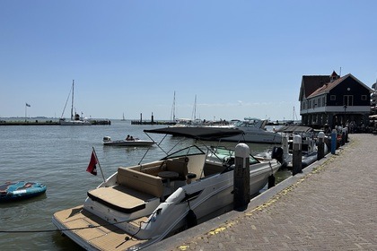 Hire Motorboat Sea Ray 250 sdx Amsterdam