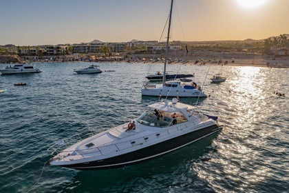 Alquiler Yate a motor Sea Ray Sundancer Cabo San Lucas