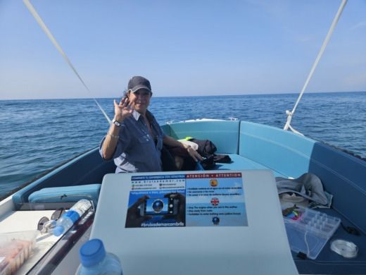 Cambrils Without license MARION TIFON-6. 500 CLASSIC alt tag text