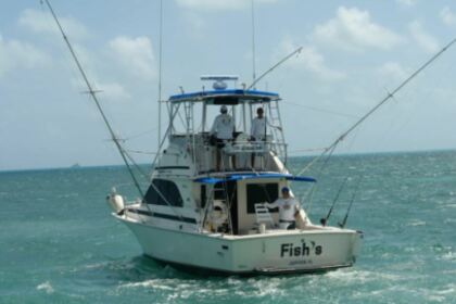 Rental Motorboat Bertram 35MK II Cancún