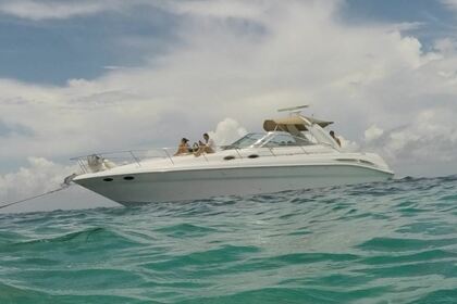 Location Bateau à moteur SeaRay 41 Cancún